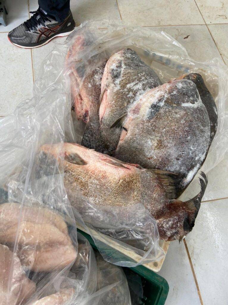 Procon lacra depósito de pescados vencidos e sem registros