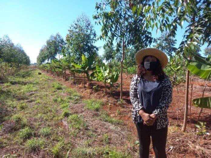 WhatsApp-Image-2022-01-25-at-17.24.50-768x576