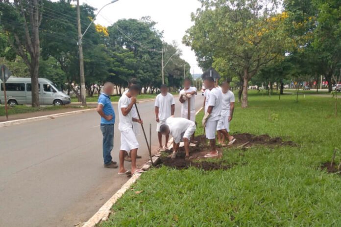 Rocagem-em-Planaltina-1-768x512