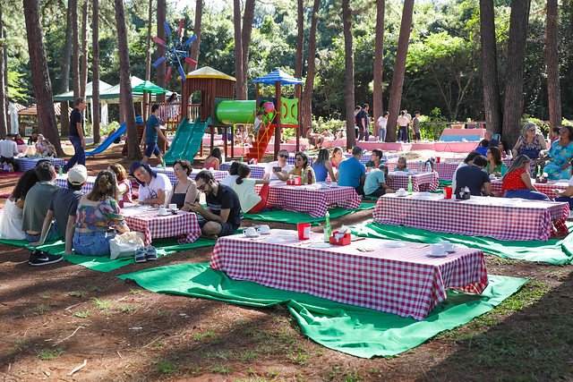 54459007633_b26153428c_z