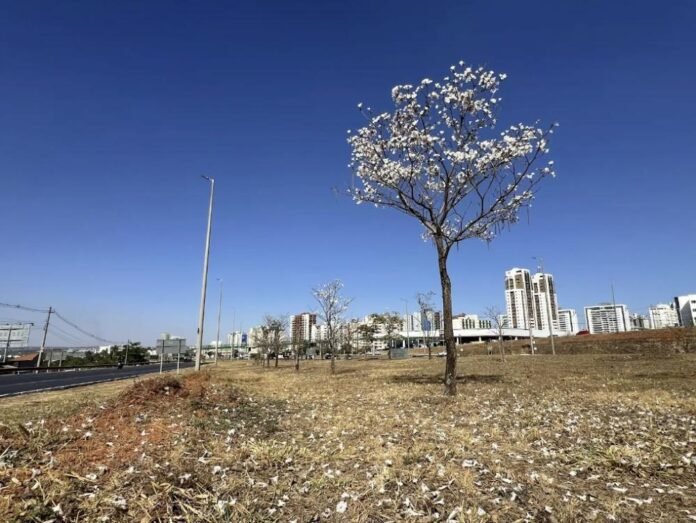 WhatsApp Image 2025-09-10 at 14.20.38 (2)