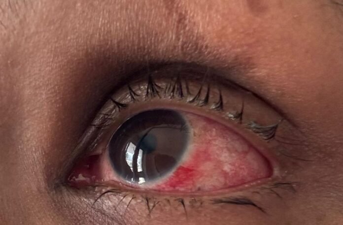 WhatsApp Image 2025-10-18 at 14.03.09 (3)