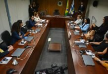 Acordo de cooperação técnica amplia oportunidades de trabalho para mulheres vítimas de violência doméstica no Distrito Federal