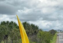 Entidades e Governo de Minas manifestam apoio à Caminhada pela Democracia liderada por Nikolas Ferreira