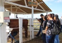 DF mostra força com transferência de tecnologias durante a AgroBrasília 2026