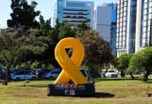 Maio Amarelo: campanha reforça atividades para salvar vidas