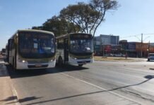 Ceilândia terá ônibus extras para o Maior São João do Cerrado